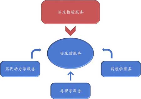 k8国际临床前服务