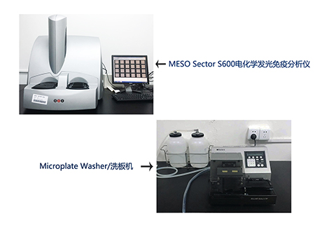 k8国际电化学发光免疫分析仪和全自动洗板机