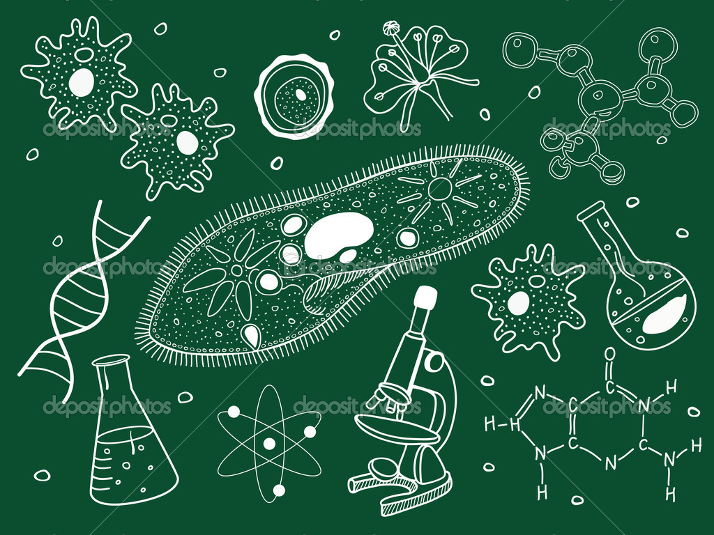 Nature：科学家找到杀死抗药细菌的新靶点