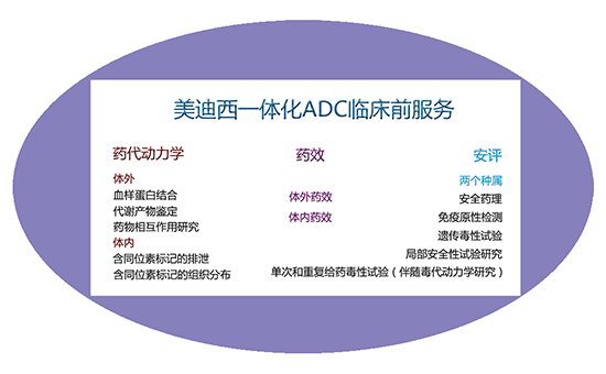 k8国际一体化ADC临床前服务