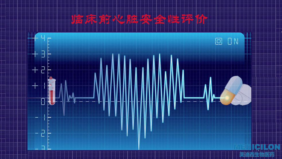 k8国际临床前心脏安全性评价研究服务平台