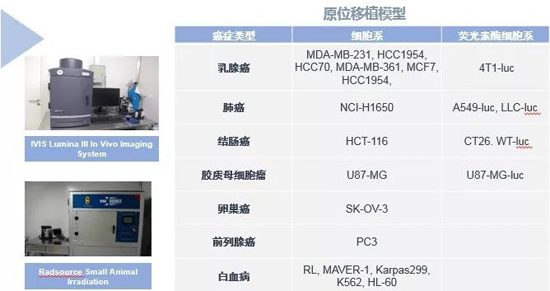 k8国际药效学动物模型