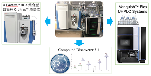 k8国际UHPLC-UV-QE HF-X系统