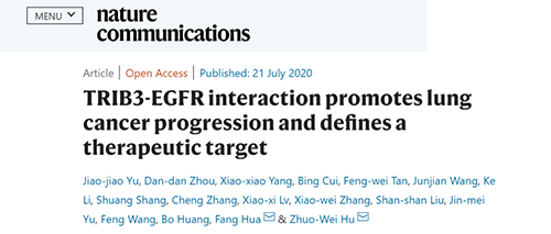 Nature|非小细胞肺癌治疗新方案：靶向降解EGFR