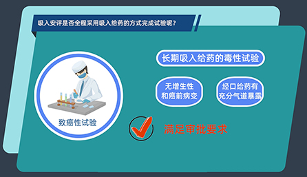 吸入安评是否全程采用吸入给药的方式完成试验呢？