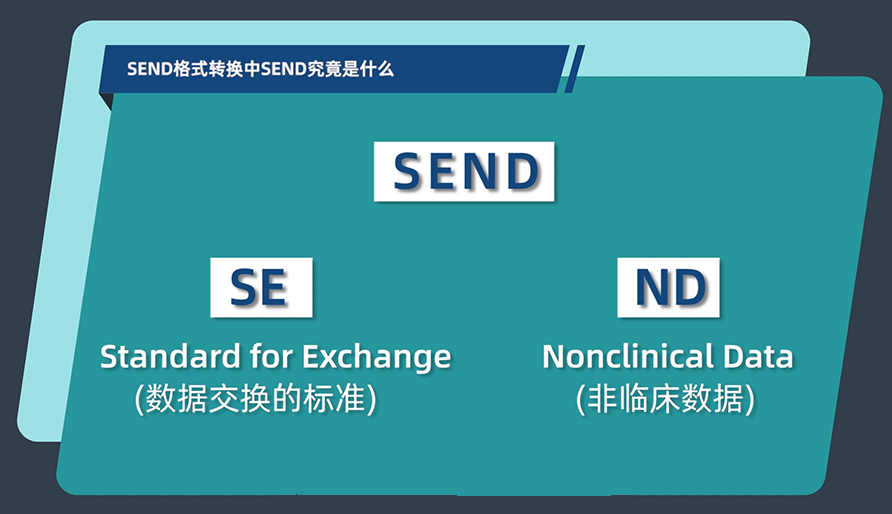 SEND格式转换中的SEND究竟是什么？