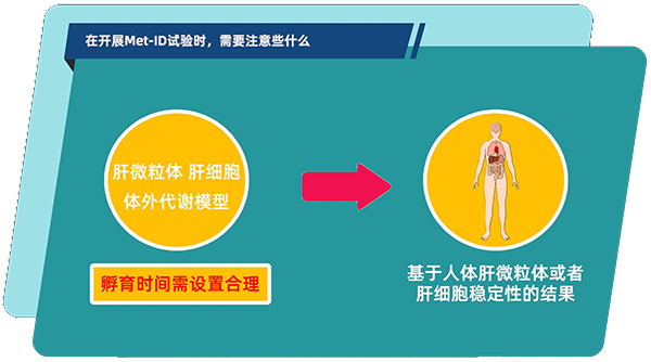 肝微粒体、肝细胞体外代谢模型中，孵育时间需设置合理.jpg