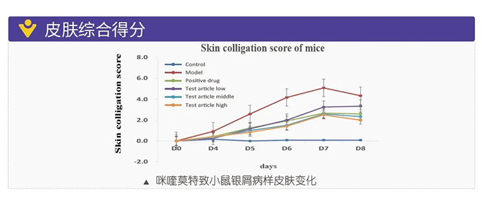 k8国际模拟银屑病的建模模型-皮肤综合得分.png