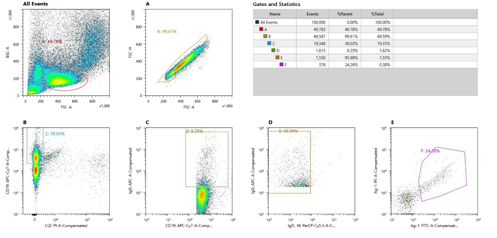 Nectin-4 (4-1) Sorting Single B Cell.webp