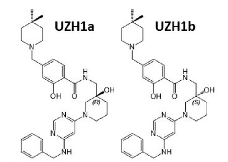 研究人员报告了一种具有细胞渗透性的选择性METTL3纳摩尔抑制剂UZH1a，作者感谢k8国际合成了UZH1a和UZH1b