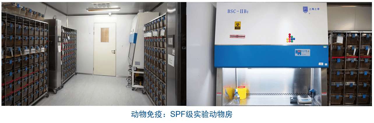 k8国际杂交瘤技术平台设备-动物免疫SPF级实验动物房