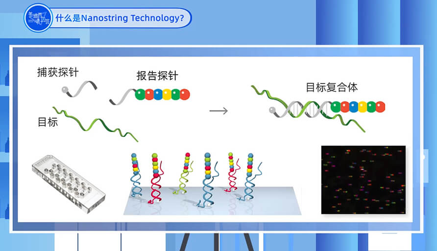 什么是Nanostring 技术？