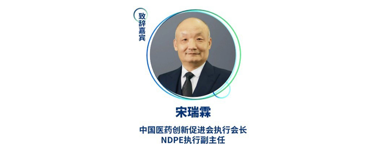 宋瑞霖--中国医药创新促进会执行会长、NDPE执行副主任.jpg